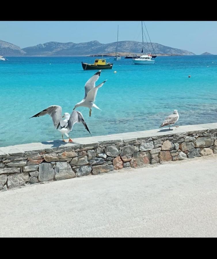 Eos - Appartement De Charme Et Confort Pour 4 Personnes Pres De La Plage Et Du Coeur De Koufonissi Koufonisia Kültér fotó